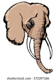 elephant, illustration of wildlife, zoo, animal of Africa, safari