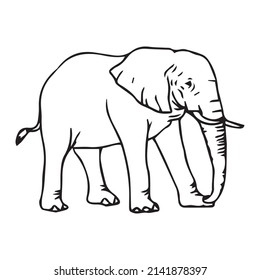 Ilustración resaltada de imagen elefante con trazo negro de línea delgada