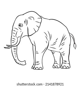 Elephant Image Outlined illustration with thin line black stroke
