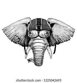 Elephant, indian or african elephant Hipster animal wearing motorycle helmet. Image for kindergarten children clothing, kids. T-shirt, tattoo, emblem, badge, logo, patch