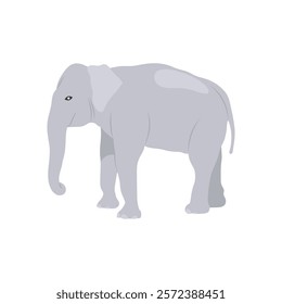 Elephant, Indian Symbol Vector Illustration