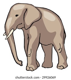 Elephant isolated animal