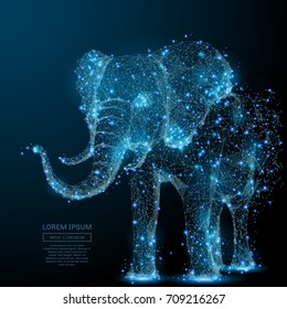 Elephant isolated from low poly wireframe on dark background. Vector polygonal image in the form of a starry sky or space, consisting of points, lines, and shapes in the form of stars and the universe