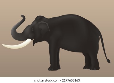 Elephant isolated on brown background graphic vector