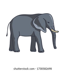 Elephant isolated on white background. Wildlife and Animal. Template for postcard, banner, poster, web design. Hand Drawn vector illustration.