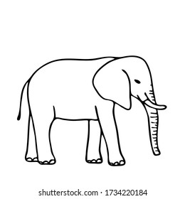 Elephant isolated on white background. Ornament items with Wildlife and Animal symbol. Template for postcard, banner, poster, web design. Hand Drawn vector illustration.