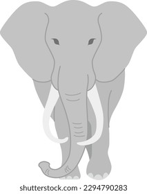 The elephant isolated on white background
