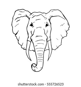 Elephant isolated on white. Nature african elephant large vector illustration strong huge zoo. Safari africa portrait strength animal head symbol. Ethnic icon wild mammal.
