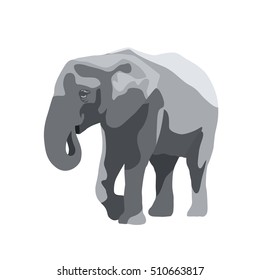 Elephant isolated vector illustration, wild large animal