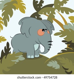 elephant in the jungle