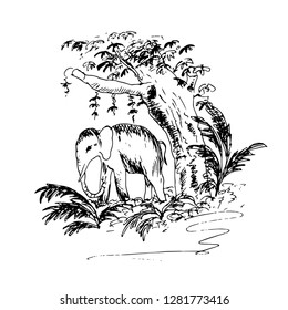 The elephant in the jungle.  Illustration, sketch.