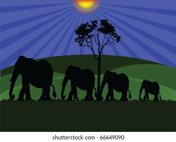 elephant landscape