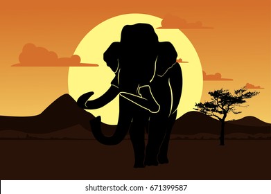 Elephant Landscapes