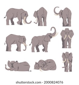 Elephant as Large African Animal with Trunk, Tusks, Ear Flaps and Massive Legs Vector Set