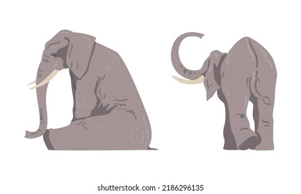 Elephant as Large African Animal with Trunk, Tusks, Ear Flaps and Massive Legs Standing and Sitting Vector Set