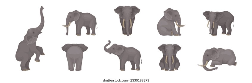 Elephant as Large African Animal with Trunk, Tusks, Ear Flaps and Massive Legs Vector Set