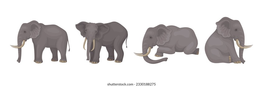 Elephant as Large African Animal with Trunk, Tusks, Ear Flaps and Massive Legs Vector Set