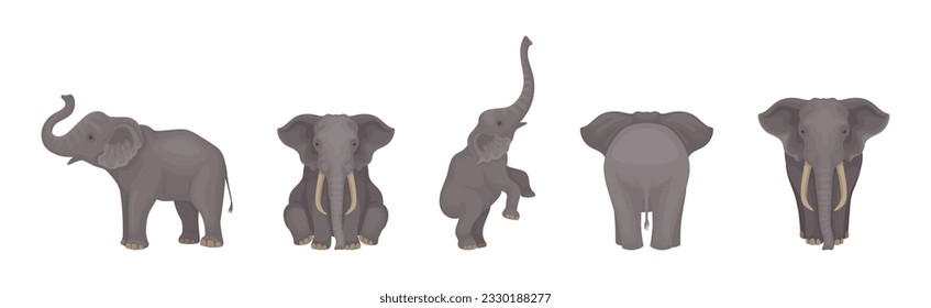 Elephant as Large African Animal with Trunk, Tusks, Ear Flaps and Massive Legs Vector Set