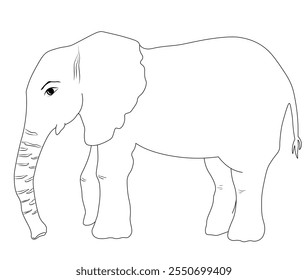 elephant is a large animal at full size. Vector stock illustration. Isolated on white background. 