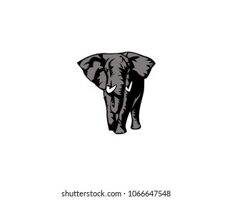 Elephant large cartoon mammal isolated on white. African bush or forest elephant and Asian elephant. 