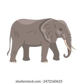 elephant large cartoon mammal isolated