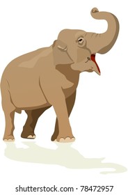 Elephant - the largest representative of wildlife on earth.