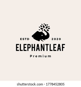 elephant leaf leaves tree hipster vintage logo vector icon illustration