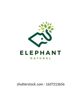 elephant leaf leaves tree logo vector icon illustration	

