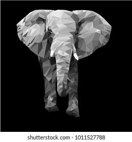 Elephant lelephant geometric lines