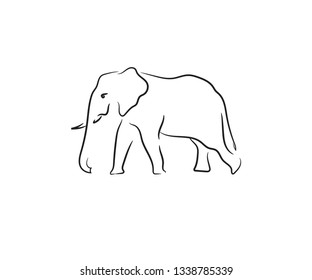 Elephant line art vector Design.