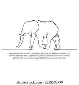 Elephant line design. Wildlife decorative elements drawn with one continuous line. Vector illustration of minimalist style on white background.