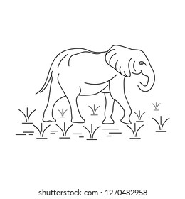elephant line drawing