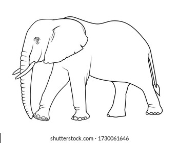 elephant side view drawing
