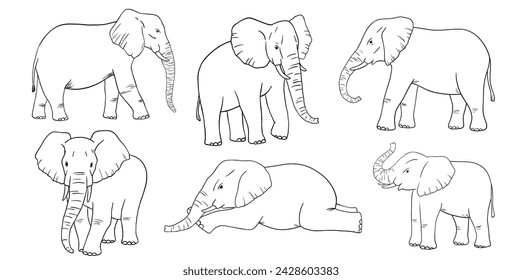 Elephant line sketch isolated on white background. Vector engraving illustrations set. Doodle african animals