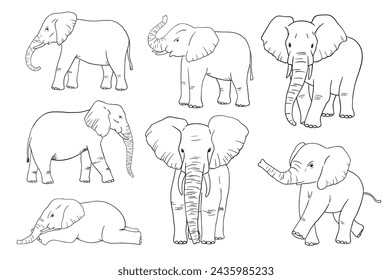 Elephant line sketch isolated on white background. Vector outline illustrations set. African animals