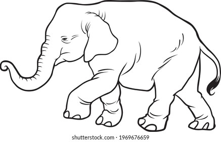 elephant line vector illustration isolated on white background.animals top view