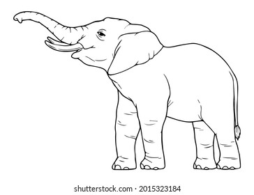 elephant line vector illustration,isolated on white background,top view