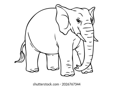 elephant line vector illustration,isolated on white background,top view