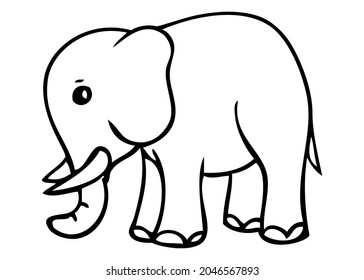 ilustración vectorial de línea elefante, aislada en fondo blanco, vista superior