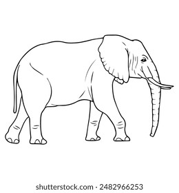 Ilustración vectorial de línea de elefante, aislado sobre fondo blanco, vista superior