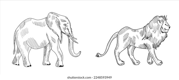 Elephant, Lion sketch drawing vector illustration