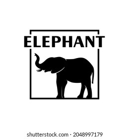 Elephant Logo Design, Image, Box, Template