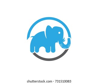 Elephant logo design template 