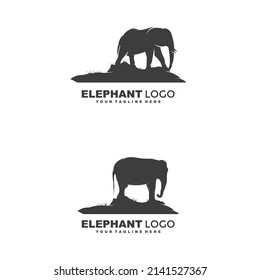 Elephant logo design template illustration