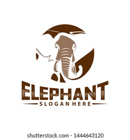 Elephant logo design vector. Animal logo template. Icon Symbol