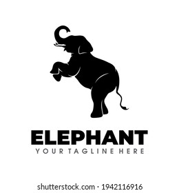 Elephant Logo Design Vector Illustration