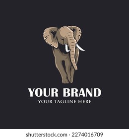 Elephant logo design vector images
