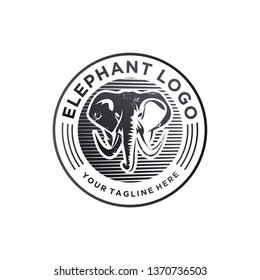 elephant logo designs concept, elephant face mascot logo template
