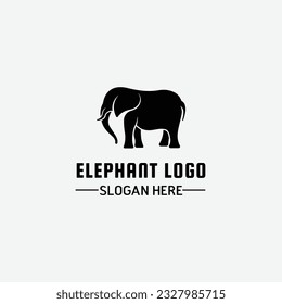 elephant logo icon designs vector illustration