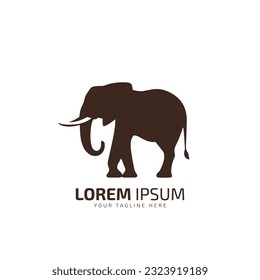 Elephant logo icon silhouette vector template